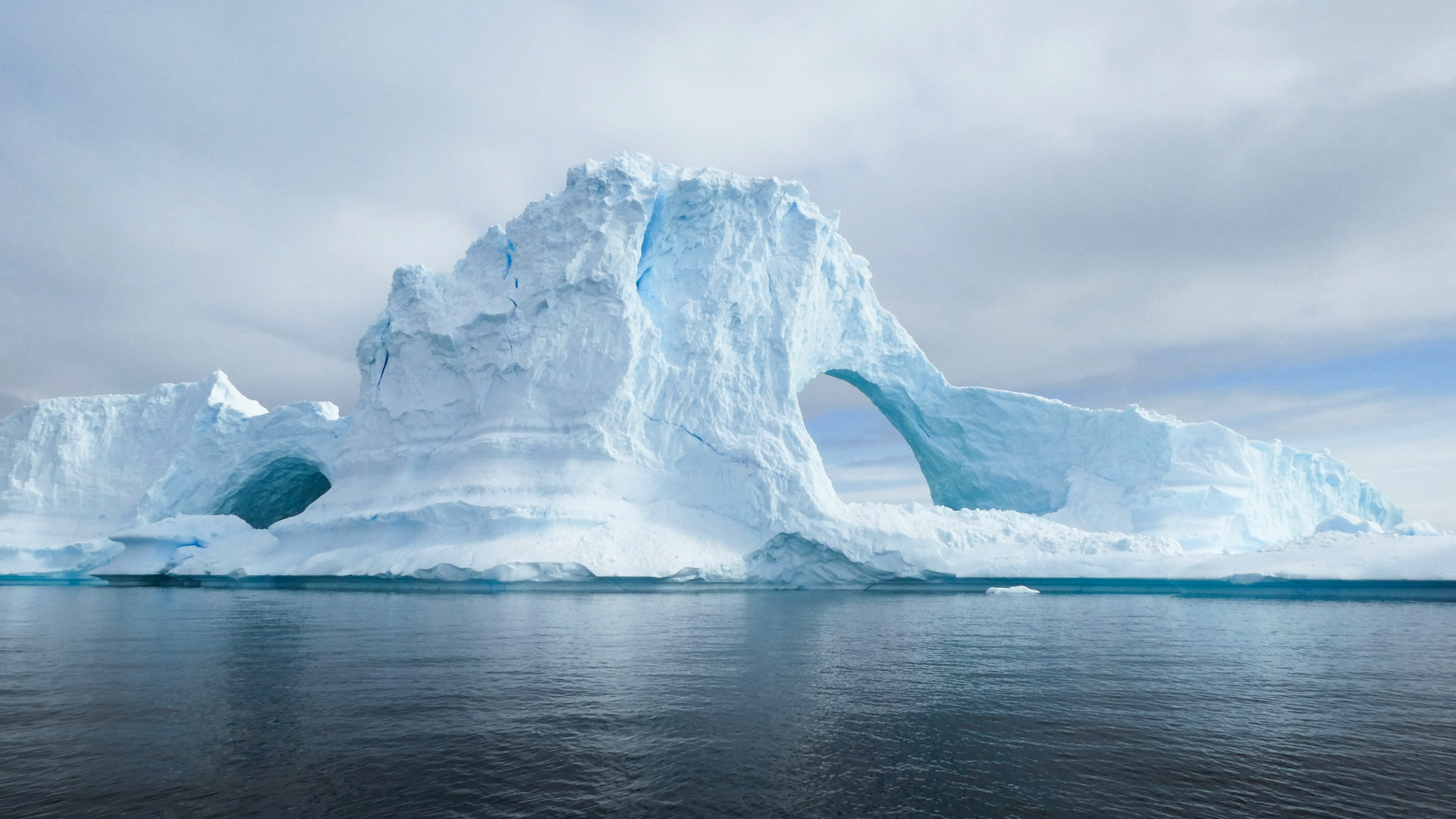 HX Expeditions: The Leading Expedition Cruise Company